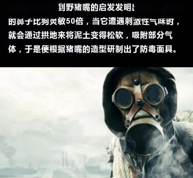 072769ecffe645f28e763077cc323488.jpeg