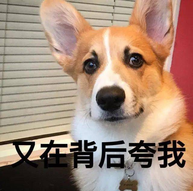 今日份灵魂拷问你离得开表情包吗