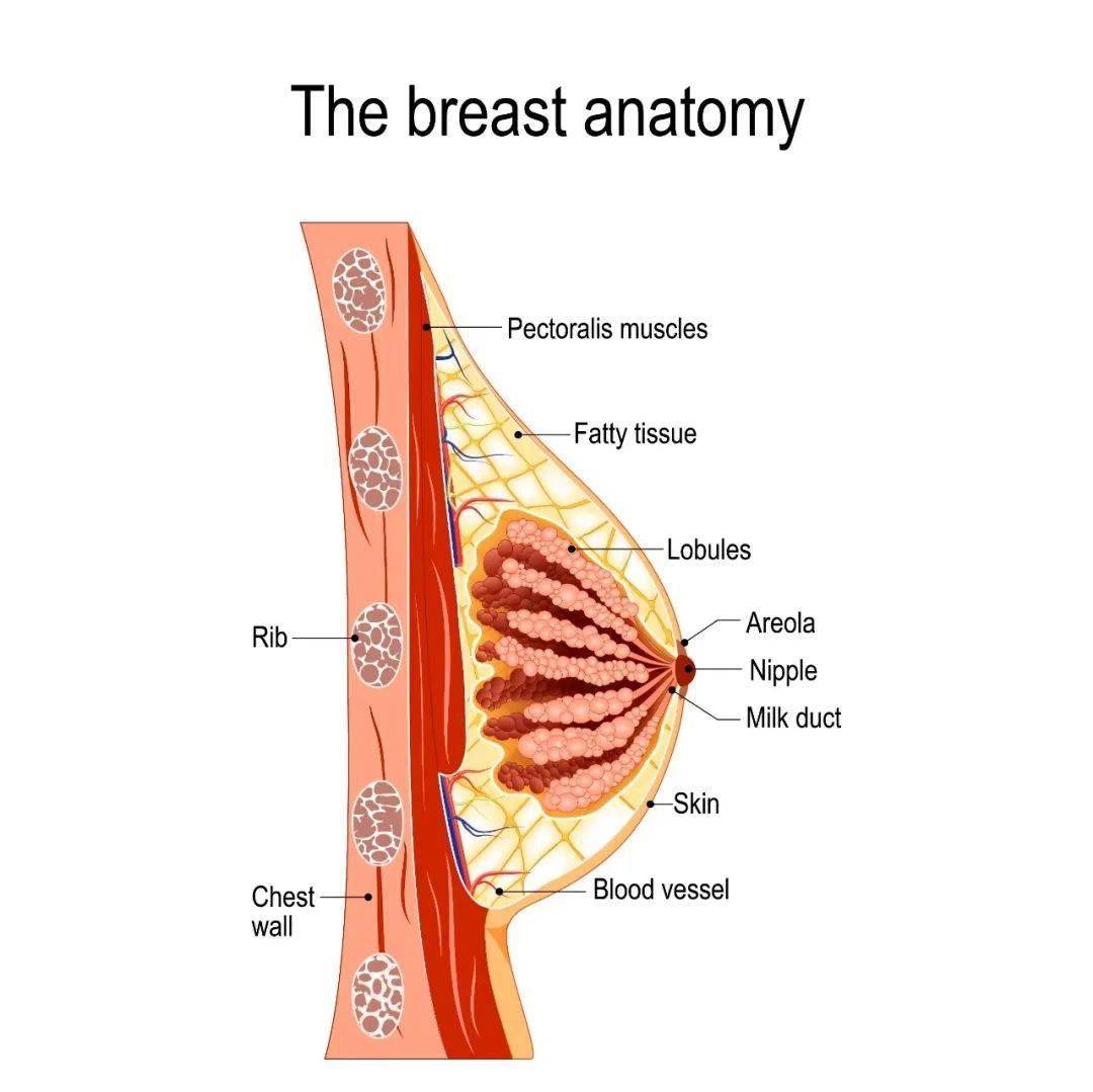 10个女性9个乳腺增生,会变乳腺癌吗?比癌变更可怕的是你轻信这些!