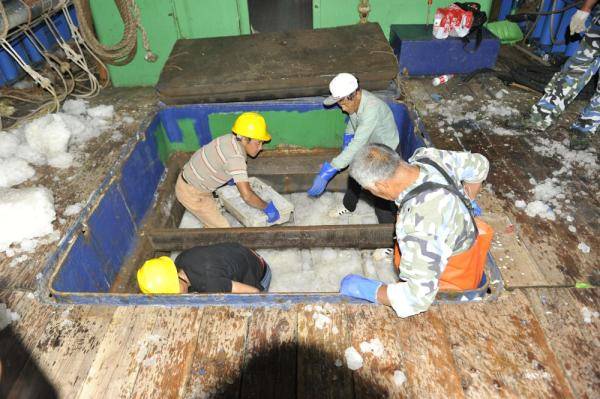 崇明|非法捕捞17吨梭子蟹 5人被刑事拘留