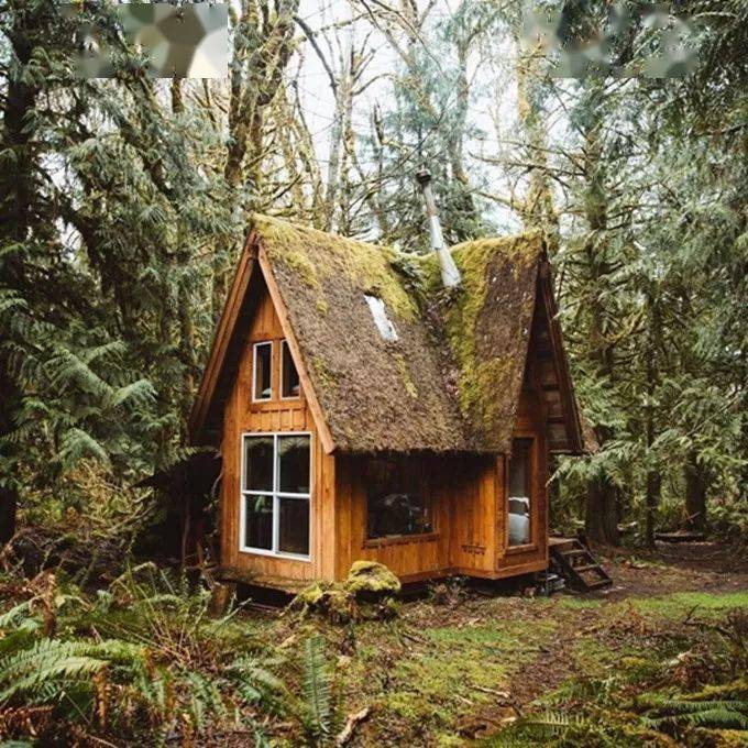 他从22岁开始手工打造小木屋,现已建造了5个独一无二的森林小屋