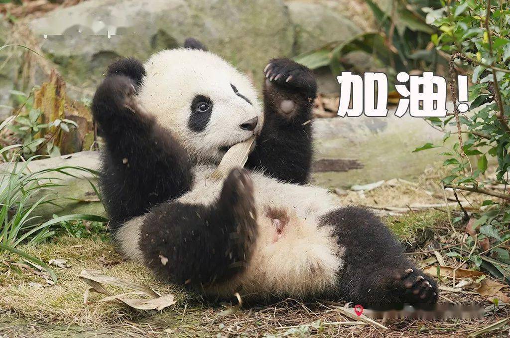 缘分|直播里偶遇心仪的大明星，这是什么奇妙的缘分！