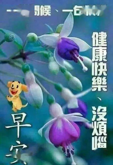 最新早上好问候祝福语短信 漂亮的早上好问候祝福语送