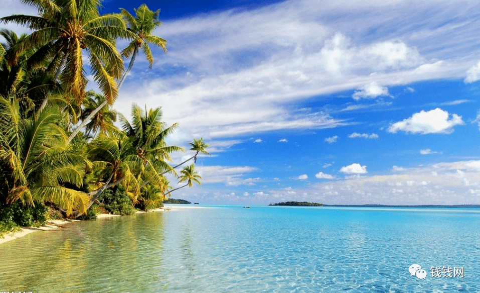 紫菜|小孩都馋哭了！舌尖跳舞的夹心海苔！一咬“咔嗞”脆响