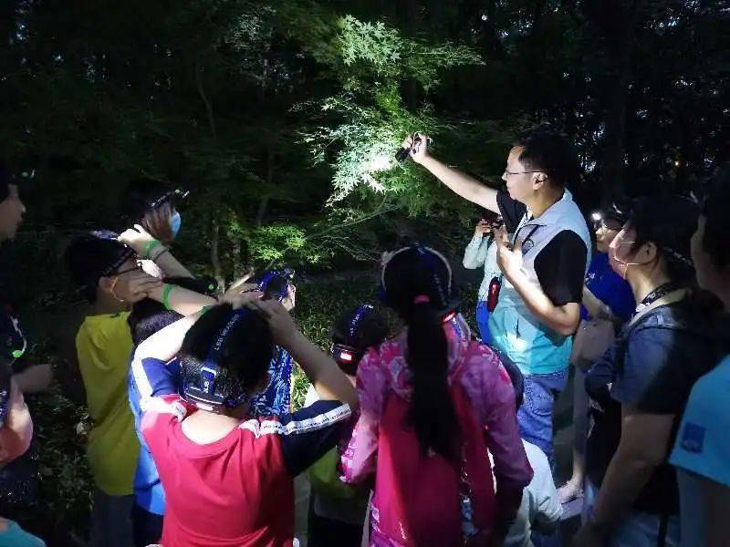 共青森林公园2020探秘夜森林活动第四批火热招募含728公益场
