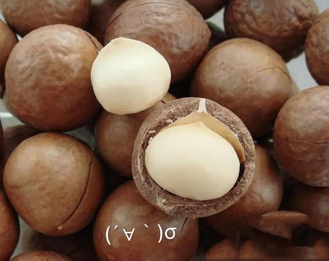 指数|【饭否】零食大作战！「塔总の零食柜」等你来填满哦~