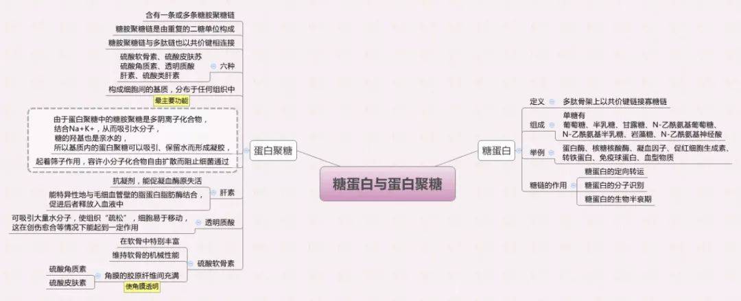 医学生必备生物化学思维导图