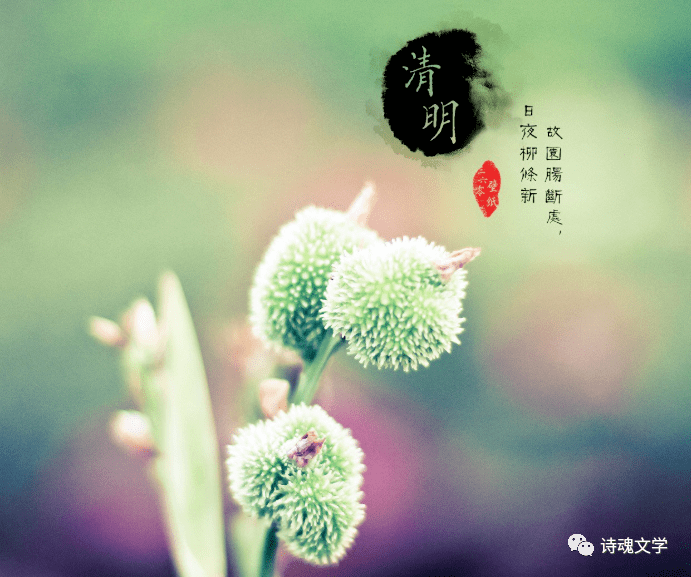 73c2b28e44d146008395b475cd8fb6e8.png