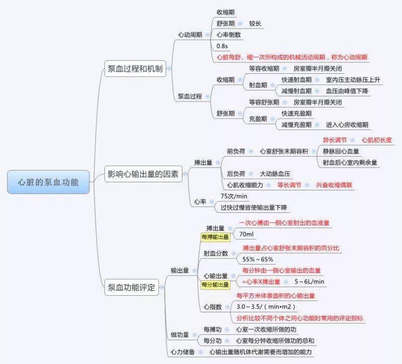 医学生必备:生理学思维导图