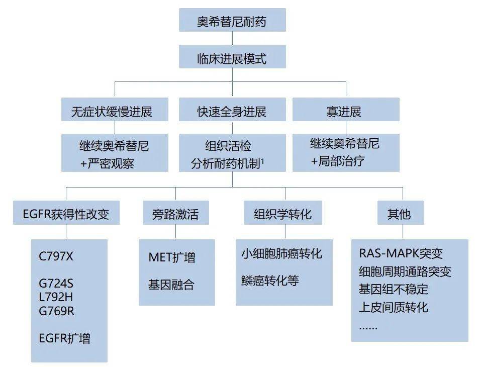 3 张图表,搞定奥希替尼耐药_化疗