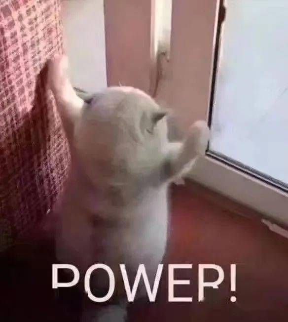 指数|【饭否】零食大作战！「塔总の零食柜」等你来填满哦~