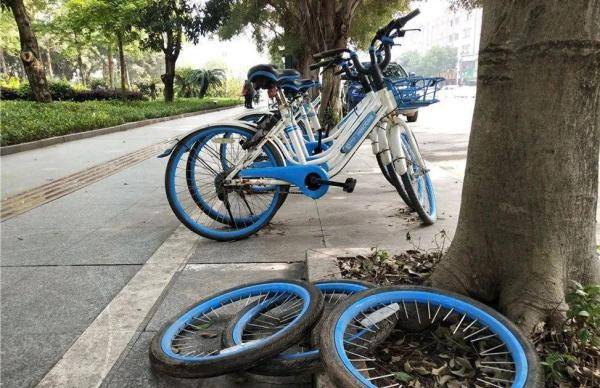 电机|疯狂作案6起！偷盗共享单车、共享电车电机，男子被批捕