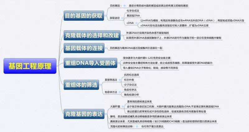 医学生必备生物化学思维导图