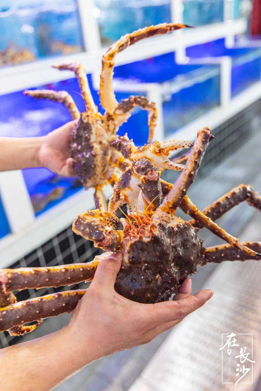 长沙|是什么来头？开业就爆店！惊现长沙海鲜烧烤界的新星之秀