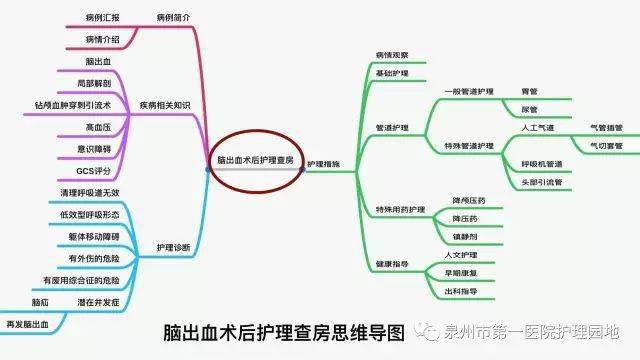 【ppt】思维导图,多学科联合护理教学查房