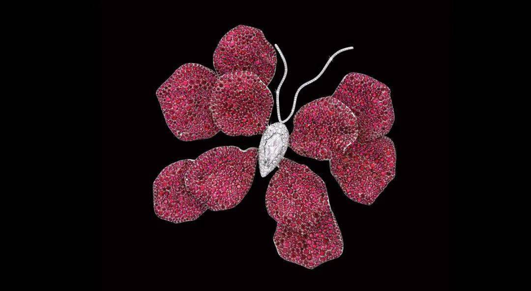 Carpet|钛金珠宝正当宠