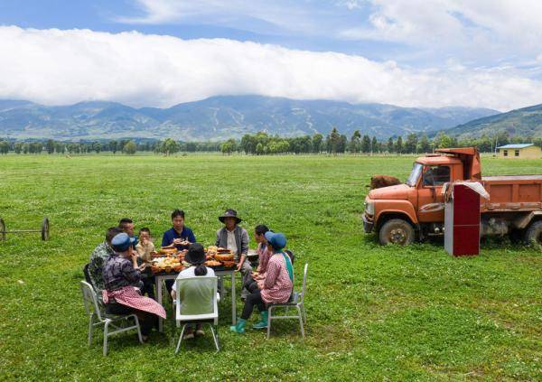 种养殖|高原彝乡：“飞鸡”孵出“致富蛋”