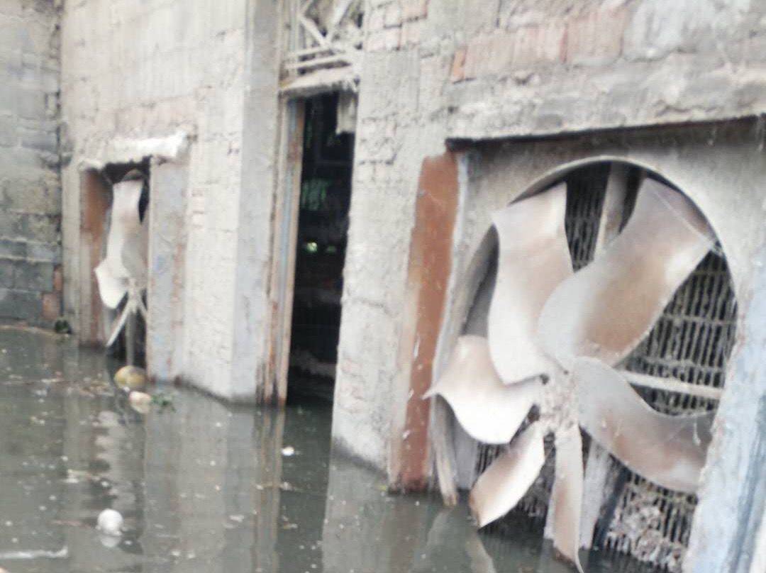 员工|安徽无为乡镇养殖场鸡鸭被洪水围困 员工水里忙“捉鸡”