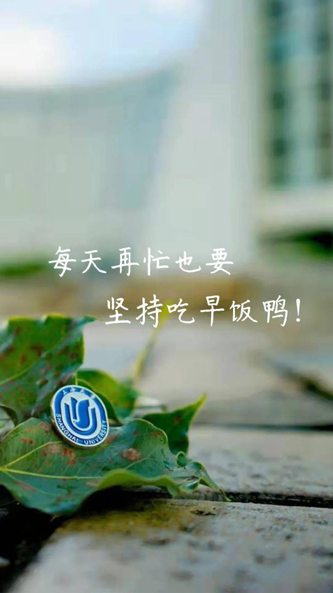 知行合一,说到做到 学会包容他人的小过失,小错误 学会控制自己的情绪