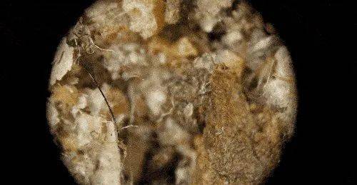 头发|现在谁还用吹风机吹头啊？你out啦！