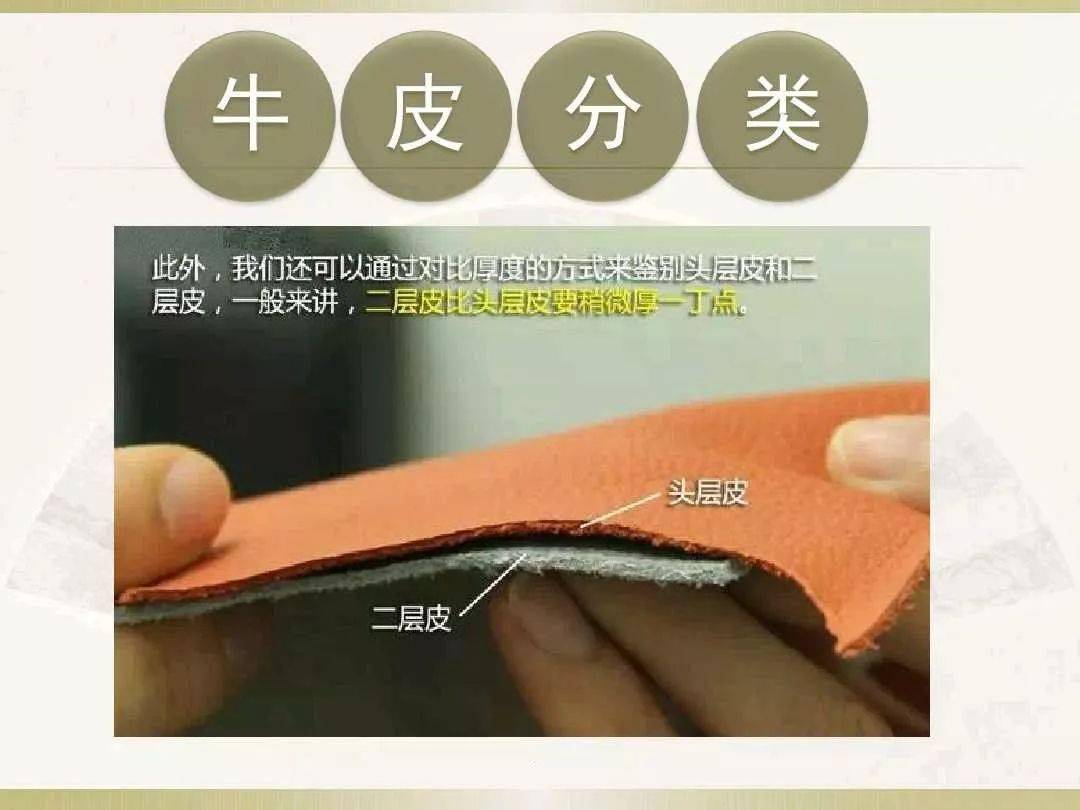 干货分享:牛皮的分类和生产加工基础知识