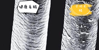 国潮|夏日护理推荐|“国潮”小众简美多效洗护套装拍了拍你！