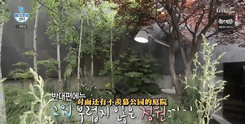 中韩|顶流男神58亿独居豪宅大曝光，中韩网友全傻眼：猫也有独卫？！