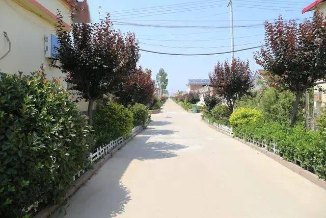 这里是莒南我的小康村系列之三十字路街道富泉村拓宽致富路百姓绽新颜