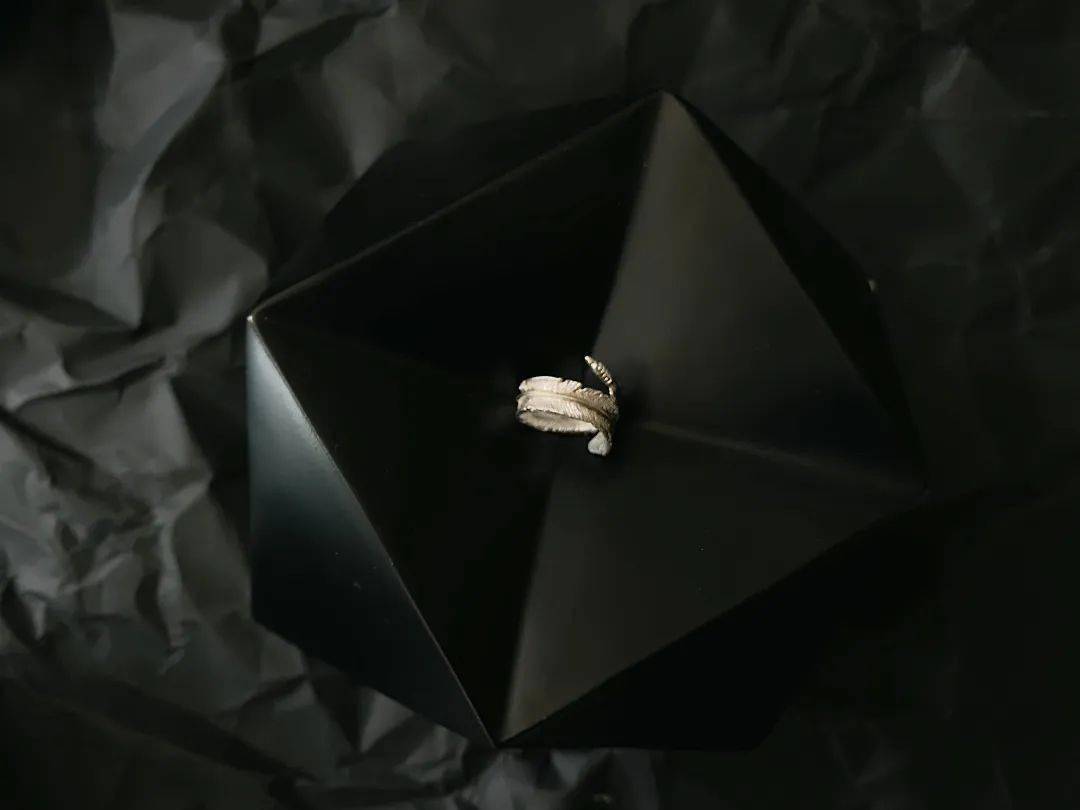 戒指|近期入手的点睛配饰,有了这些时髦小细节,穿白T都好看~