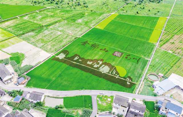 南平镇GDP_南平樟湖旧镇照片