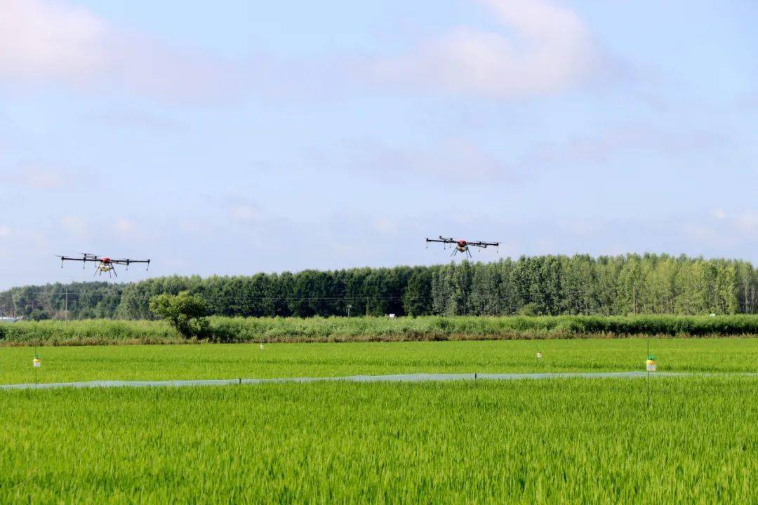 县农业技术推广中心开展农作物生物灾害应急演练