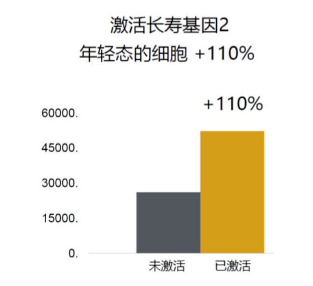贵妇|宁静,快退出《乘风破浪的姐姐》!!