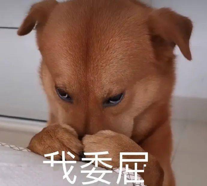 圆脸|果然，圆脸女生都太“假”了！