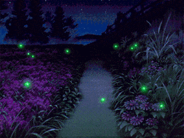 今日大暑 | 愿你有清风入怀 有明月生凉