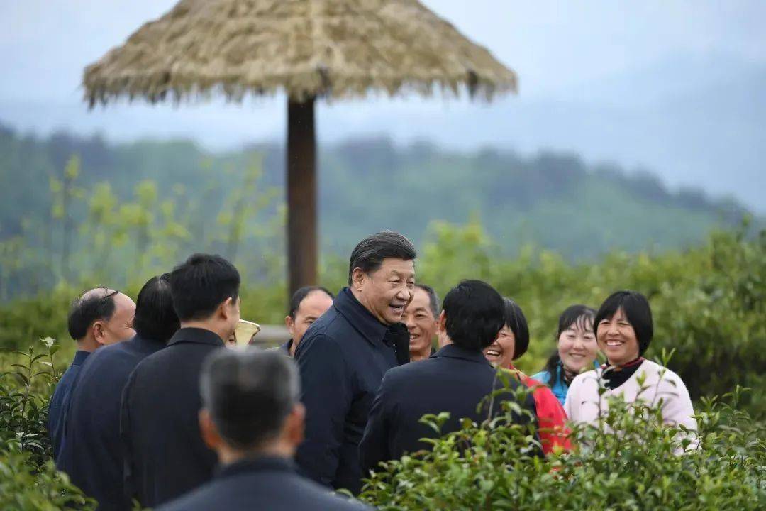 人民军队|鉴往知来——跟着总书记学历史｜东方马德里 激荡英雄气