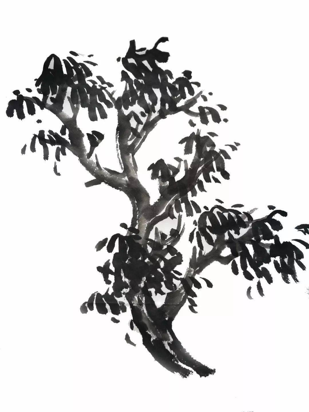第7集:点叶树树叶的画法 节目预告