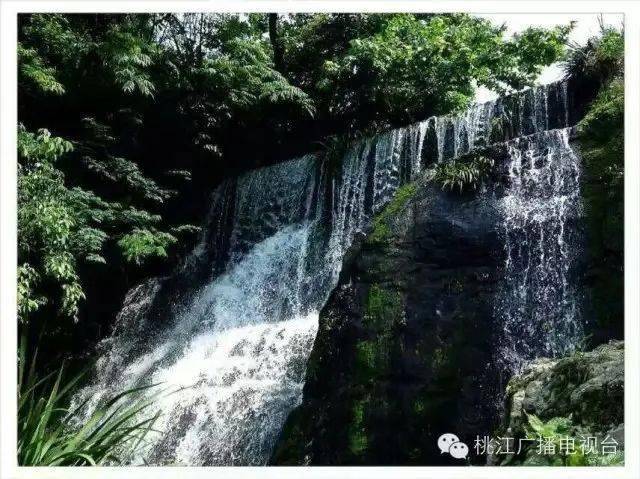 今日大暑桃江避暑胜地为你送上夏日清凉