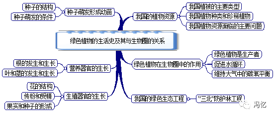 初中生物七年级上下册课本思维导图预习必备好帮手