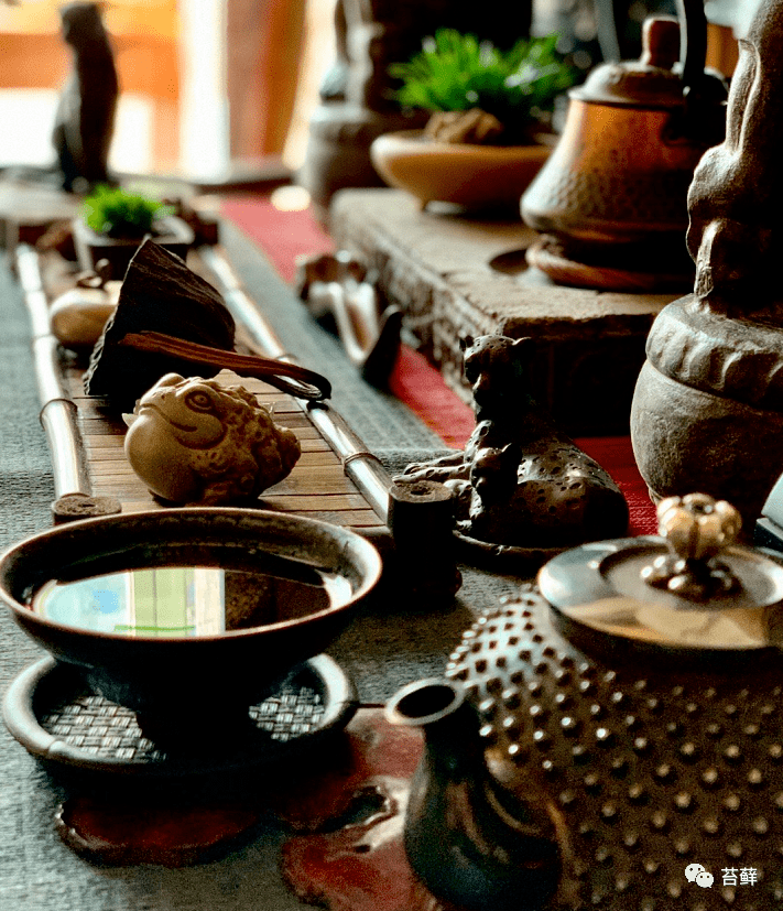 蒲间|不如窝在家里喝茶赏蒲夏日炎炎