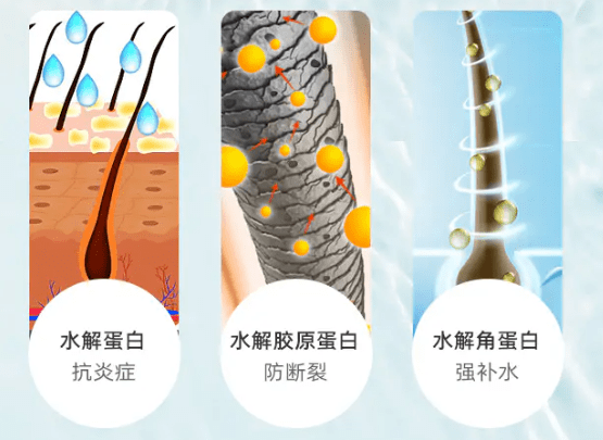 成分|日本超火，唤起发丝健康，绽放美丽光彩