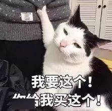 女朋友|恋爱前后必有的神奇变化