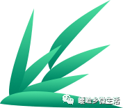 致富创业项目在家开厂_致富创业项目_创业致富经