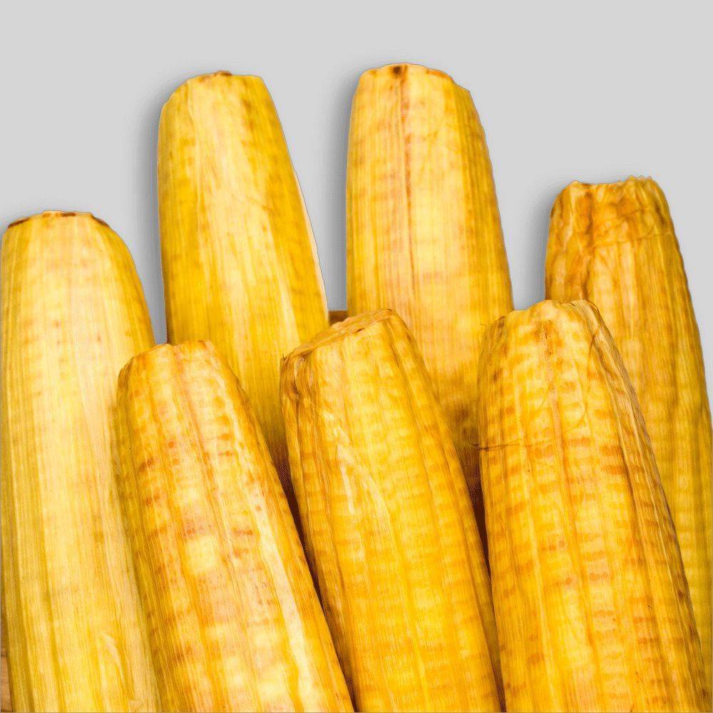 解药|解药很甜思念很玄