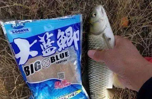 我以前野钓一直单开野战蓝鲫,单开蓝鲫我钓到过鲫鱼,鲤鱼,草鱼,马口鱼