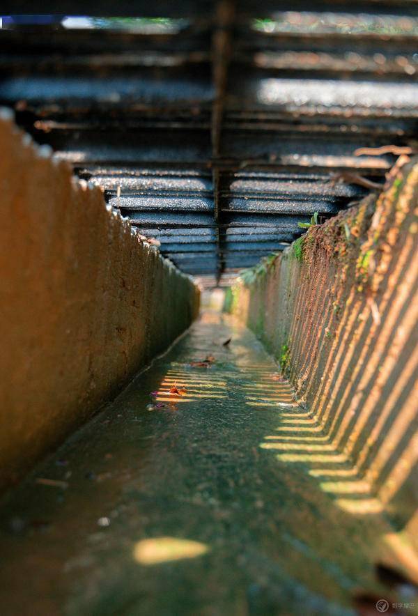 画面|夏季少女 · 橘