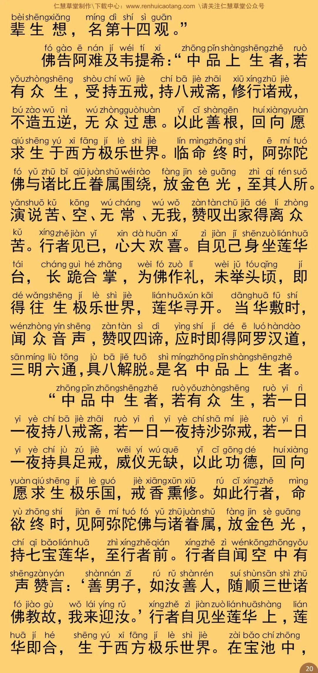 无量寿经简谱_无量寿经图片(2)