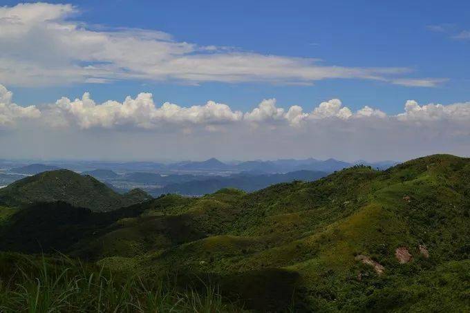 斗门黄杨山将建登山步道,路线全长2.4公里!喜欢登山的