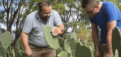 张天|张天爱比杨幂会“撩”?让小奶狗痴迷的她,到底有啥不一样?