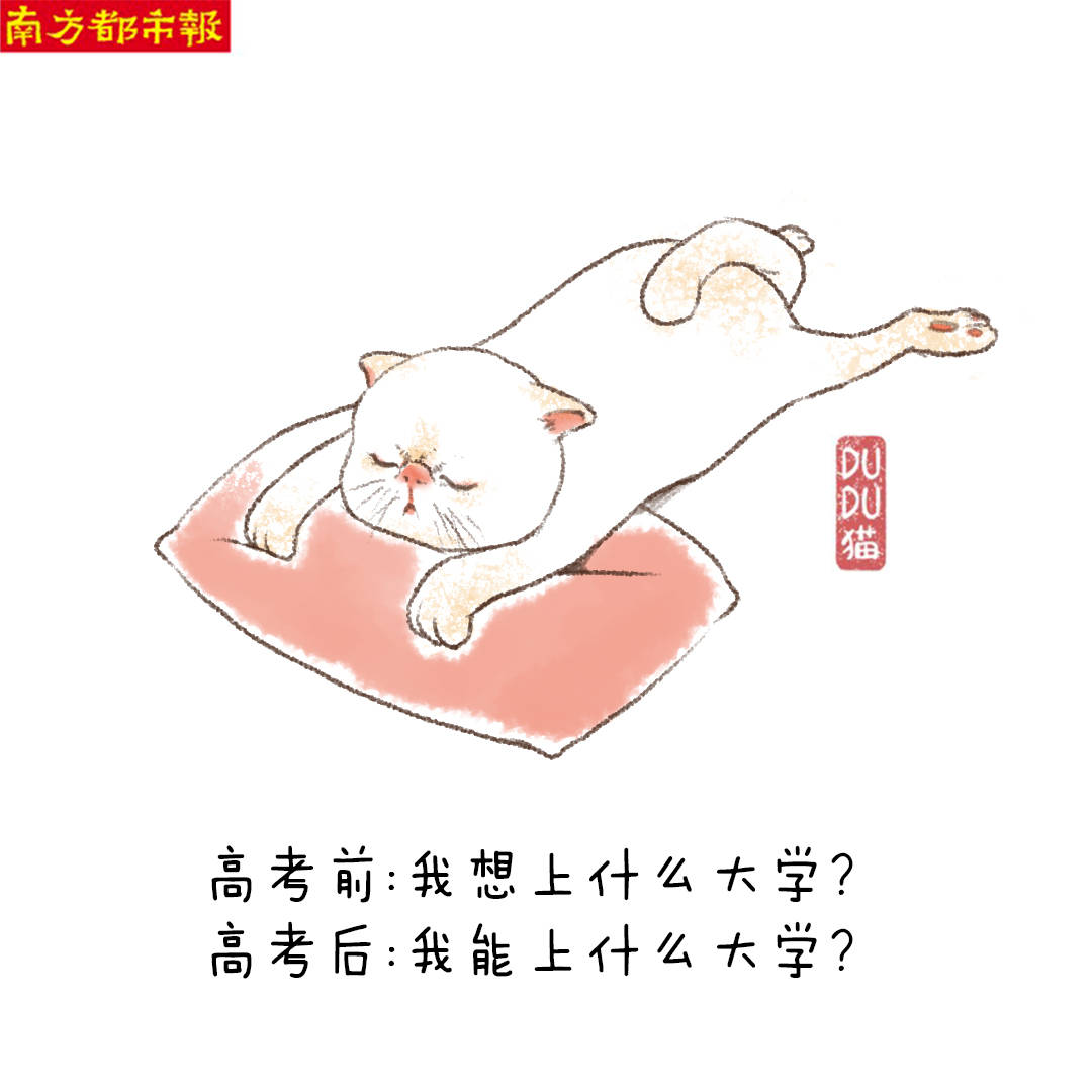 吴怀|DUDU猫说高考填志愿：为什么没进心仪的大学？因为保安不让