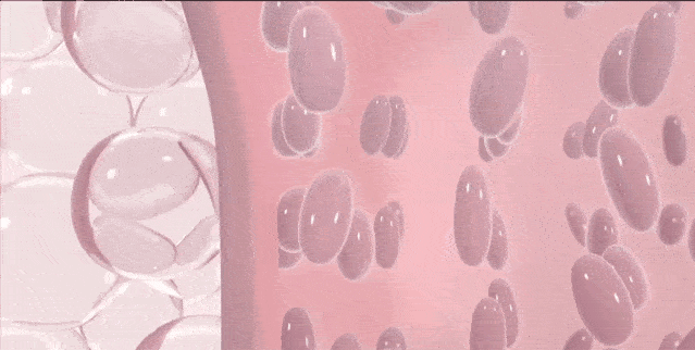 coco|有了ta,让你的白菜价护肤品用出贵妇级的惊人效果!